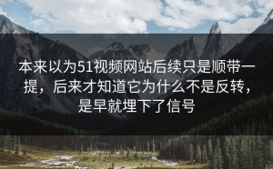 本来以为51视频网站后续只是顺带一提，后来才知道它为什么不是反转，是早就埋下了信号