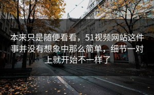本来只是随便看看，51视频网站这件事并没有想象中那么简单，细节一对上就开始不一样了