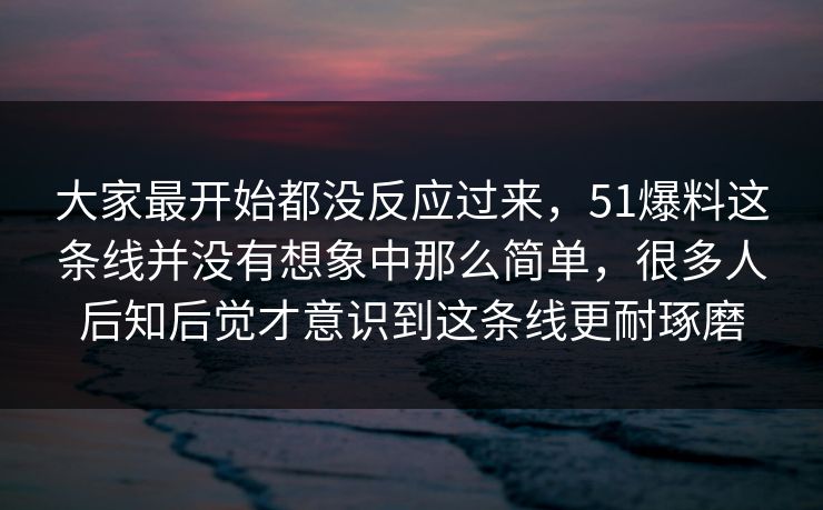 大家最开始都没反应过来，51爆料这条线并没有想象中那么简单，很多人后知后觉才意识到这条线更耐琢磨